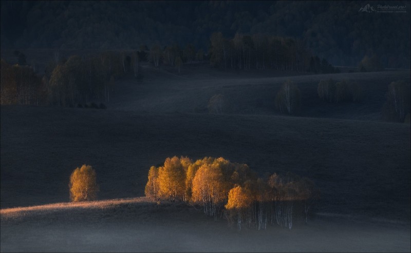 Vlad Sokolovsky, landscape, dark, trees, sun rays, nature, road