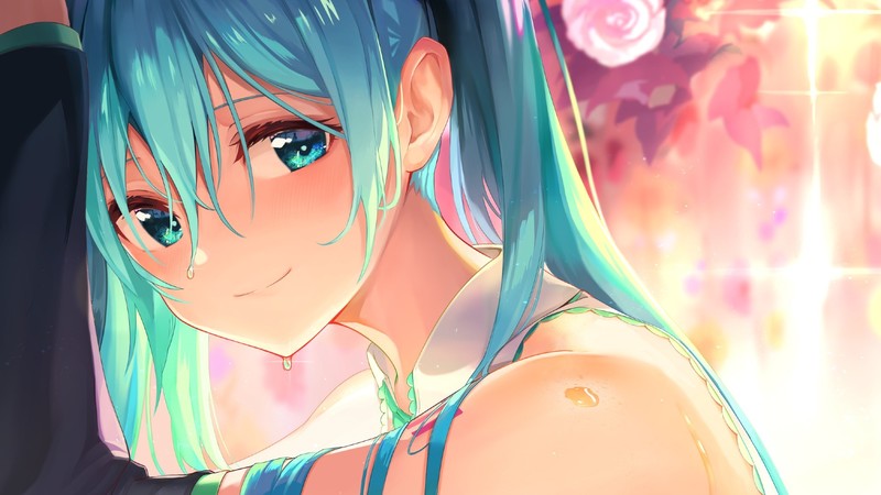 Hatsune Miku, Vocaloid, anime
