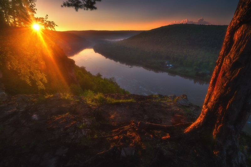 Vladimir Lyapin, landscape, sunset, river, nature, sunlight, trees, tree bark, hill, water, horizon