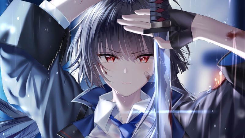 long hair, anime, sword, red eyes