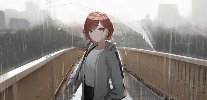brunette, umbrella, anime girls, anime