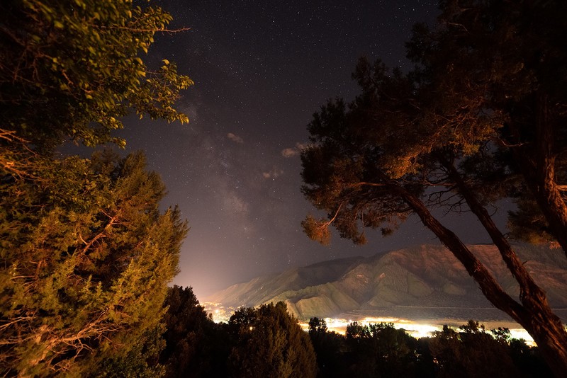 nature, landscape, trees, branch, Milky Way, stars, night, city lights, mountains, long exposure, Colorado, USA