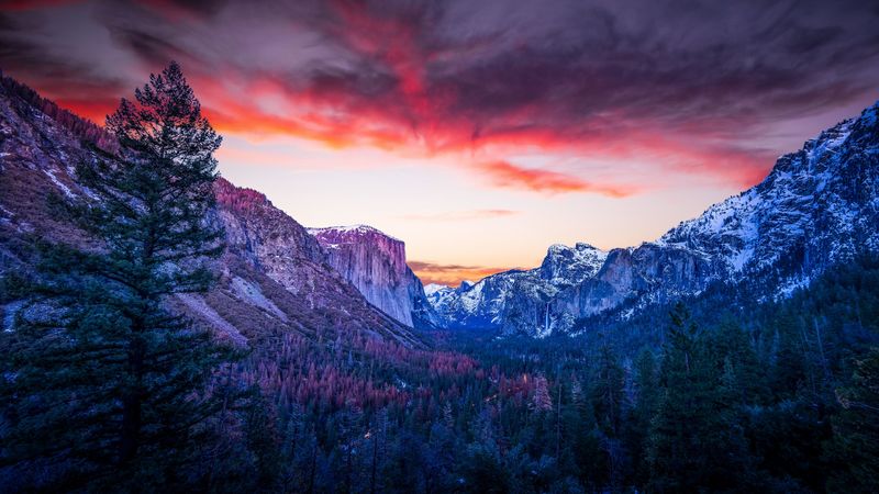 mountains, forest, twilight, canyon, clouds, sunset, 4k