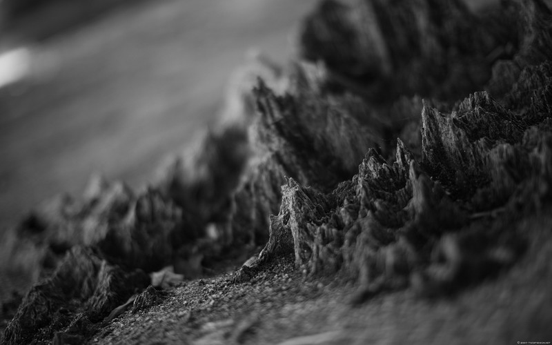 monochrome, textured, macro, abstract, simple background, digital