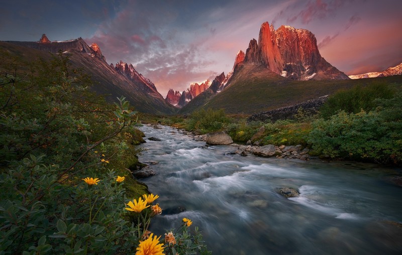 Greenland, flowers, water, mountains, landscape, nature