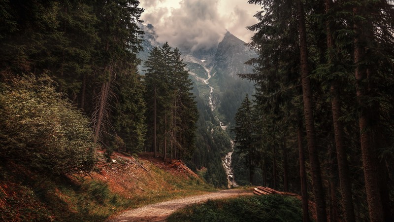 nature, outdoors, trees, mountains, forest, Italy