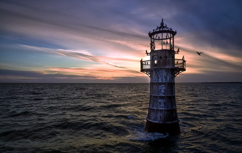 sea, water, sky, outdoors, birds