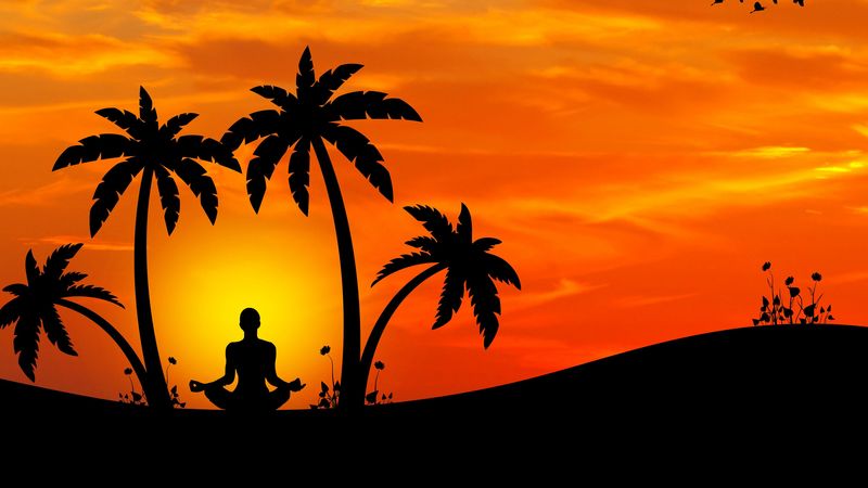 meditation, yoga, silhouette, palm trees, harmony, 4k