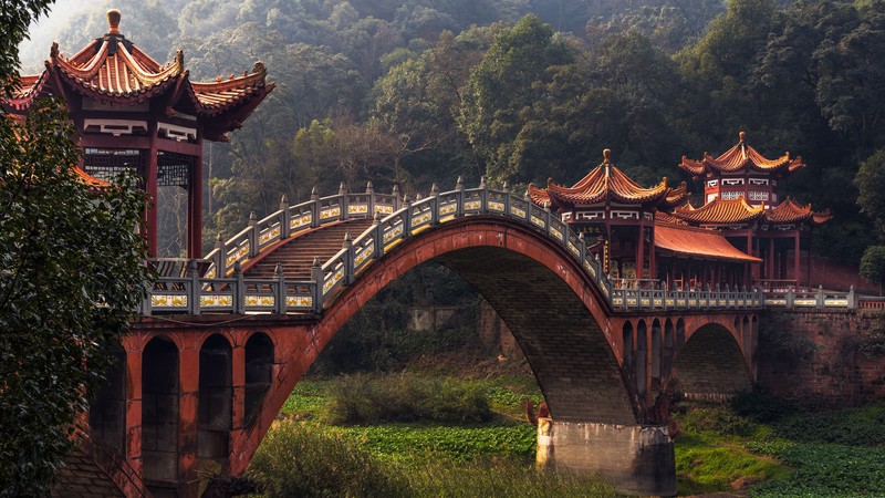 China, nature, bridge, forest, trees, Asian architecture