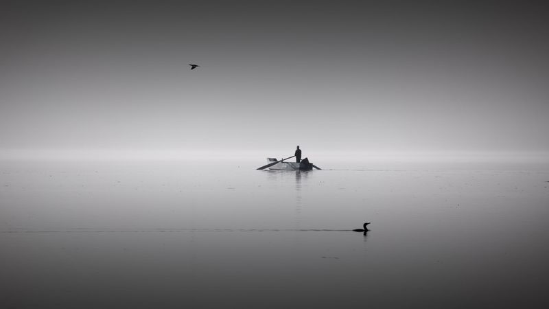 lake, boat, calm, horizon, silence, man, birds, bw, 4k