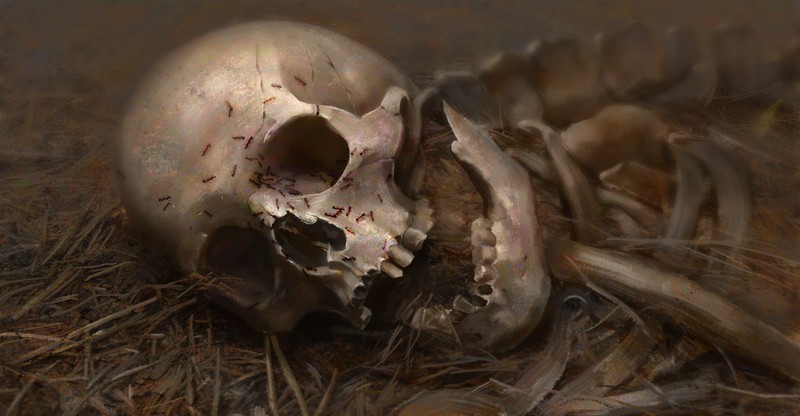 Erikas Perl, concept art, skull, skeleton, grass, ants, Decomposition, bones, old, illustration