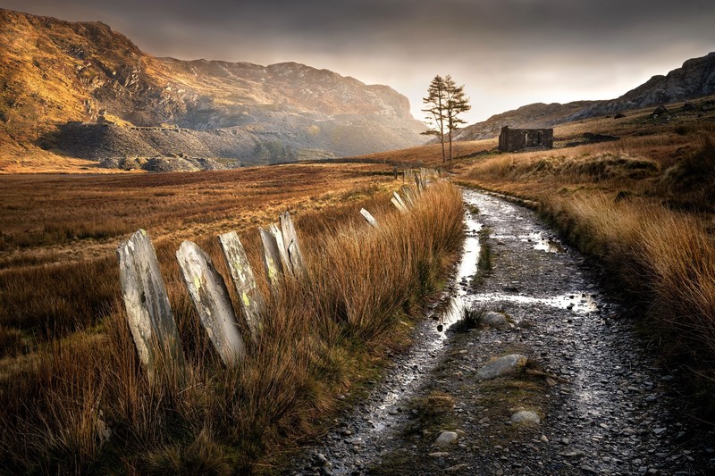 dirt road, outdoors, landscape, fall