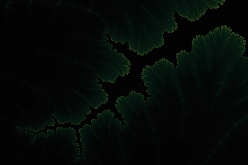 dark, Adi Dizdarevic, fractal