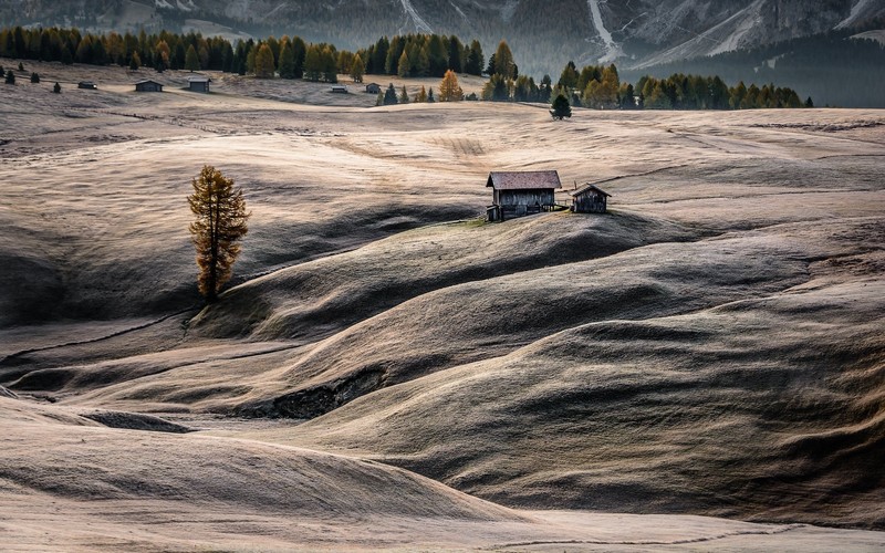Italy, landscape, field
