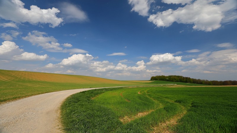 nature, landscape, field, sky, clouds, trees, grass, road