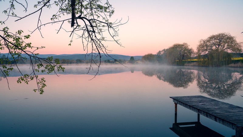 nature, landscape, pond, mist, forest, sky, sunset, trees, Wernigerode, Germany