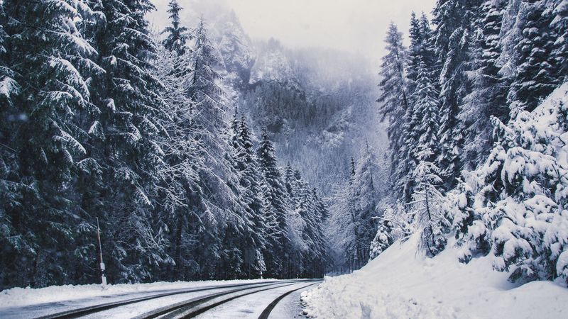 road, forest, turn, mountains, snowy, winter, trees, 4k