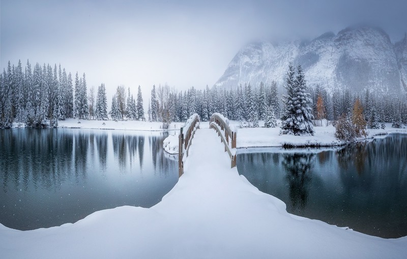 Canada, winter, snow, outdoors, bridge, mountains, river, mist, trees