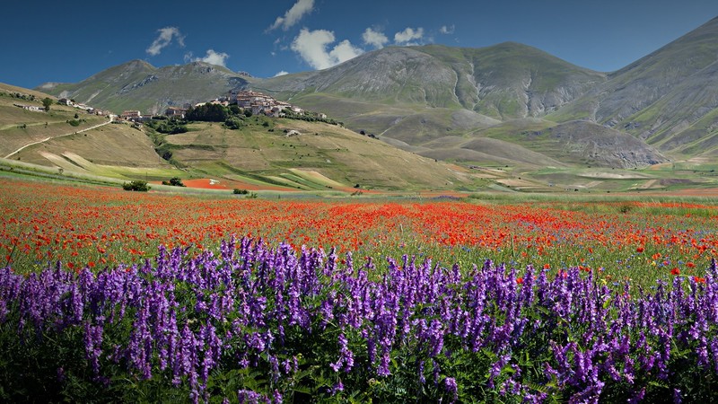 nature, landscape, mountains, flowers, clouds, sky, plants, village, road, purple flowers, red flowers, Perugia, Italy