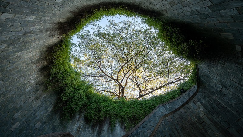 nature, trees, park, sky, fort, vines, Spain, overgrown