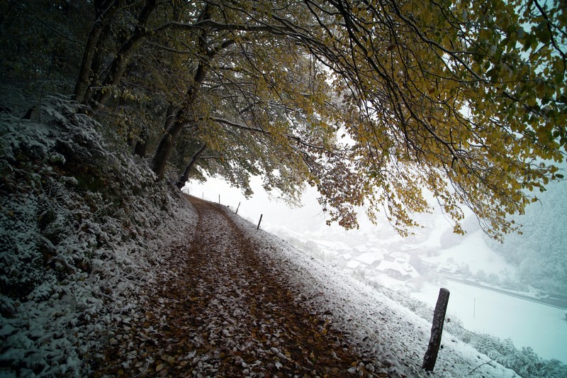 nature, landscape, trees, snow, walkway, house, fall, Alps, Germany