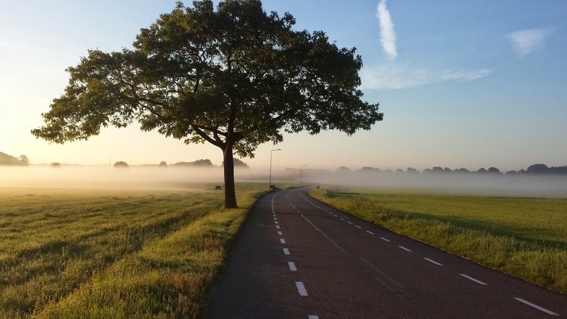 nature, landscape, trees, mist, road, sunrise, grass, clouds, sky, Unsplash