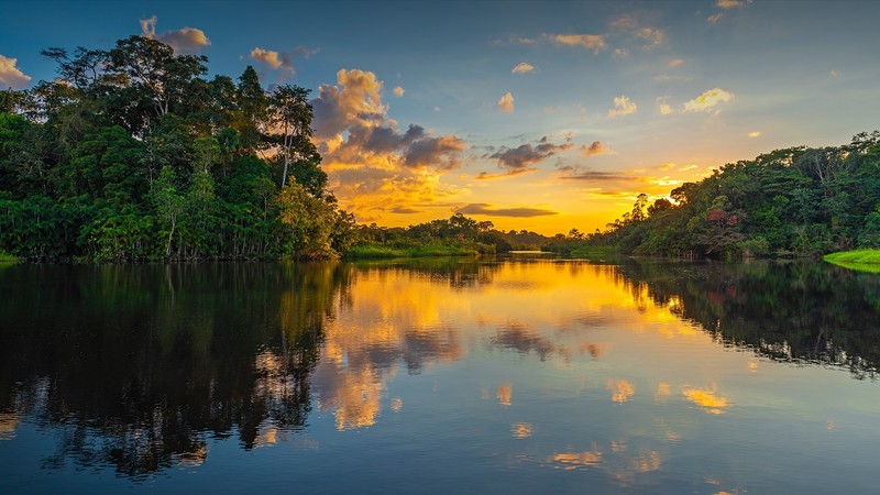 nature, landscape, trees, forest, reflection, river, water, clouds, sunset, Ecuador