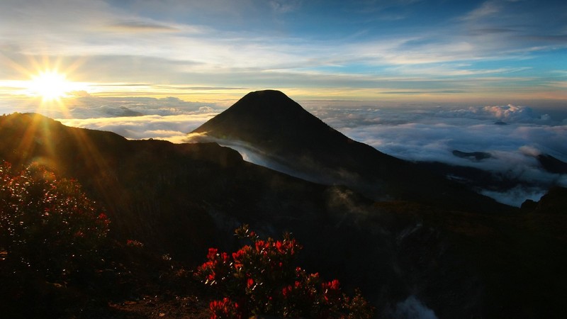 nature, landscape, mountains, clouds, sky, Sun, sun rays, horizon, plants, sunrise