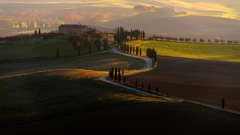 landscape, nature, dawn, sunrise, farm, trees, field, Tuscany, Italy
