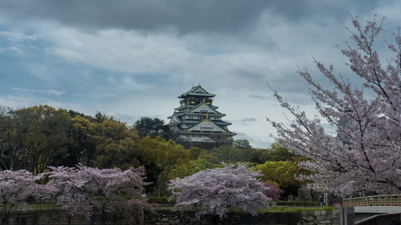landscape, nature, sky, trees, Sakura blossom, Osaka Castle, Japan