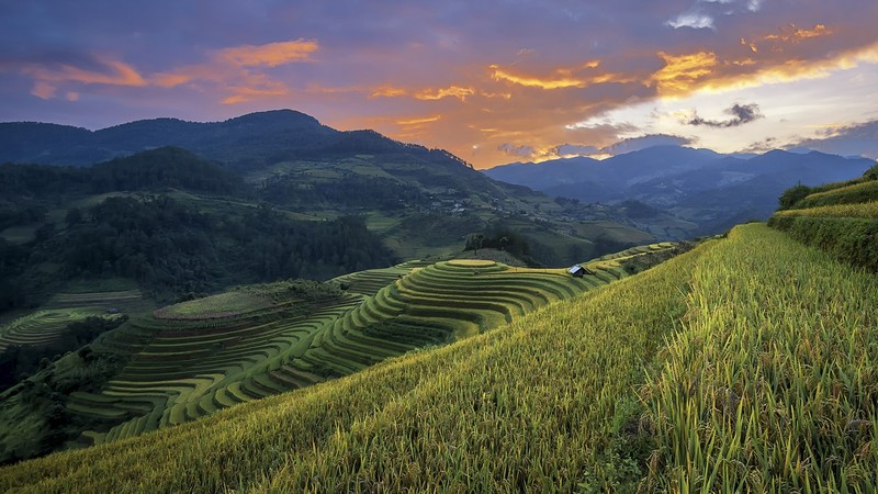 nature, landscape, mountains, field, plants, clouds, sky, dawn, trees, forest, rice fields, Vietnam