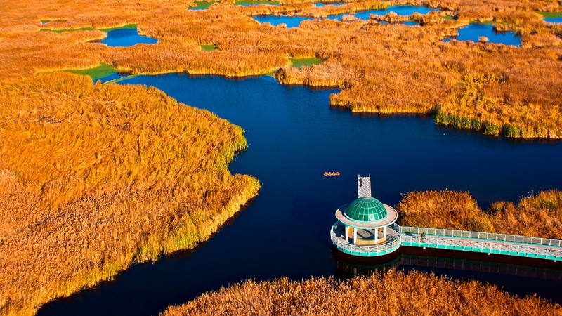 nature, landscape, water, plants, fall, wetland, river, China