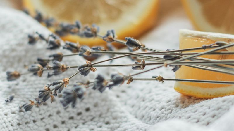 flowers, dried flowers, lemon, cloth, 4k