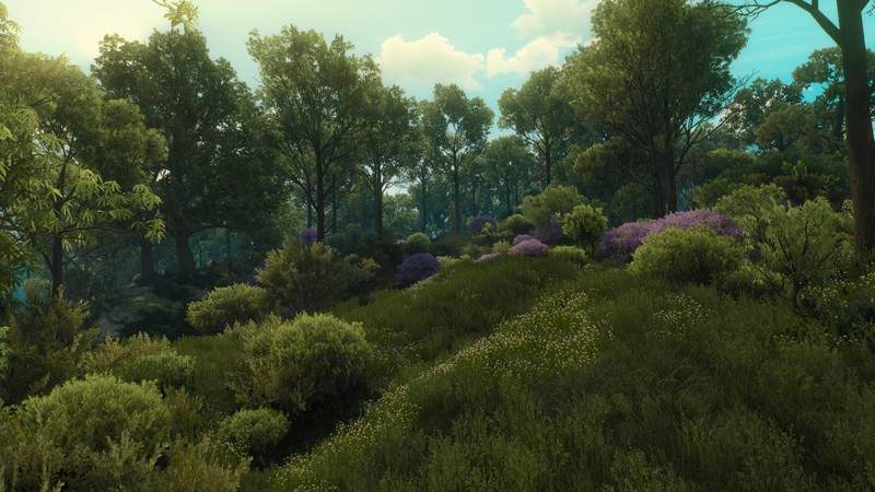 The Witcher, The Witcher 3: Wild Hunt - Blood and Wine, video game art, Video Game Landscape