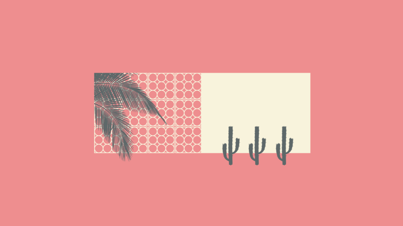pink, cactus, palm trees