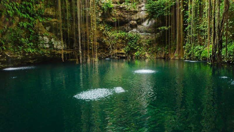 nature, landscape, water, water ripples, plants, rocks, Mexico
