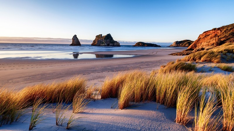 nature, landscape, sky, plants, sand, water, beach, coast, clouds, horizon, New Zealand