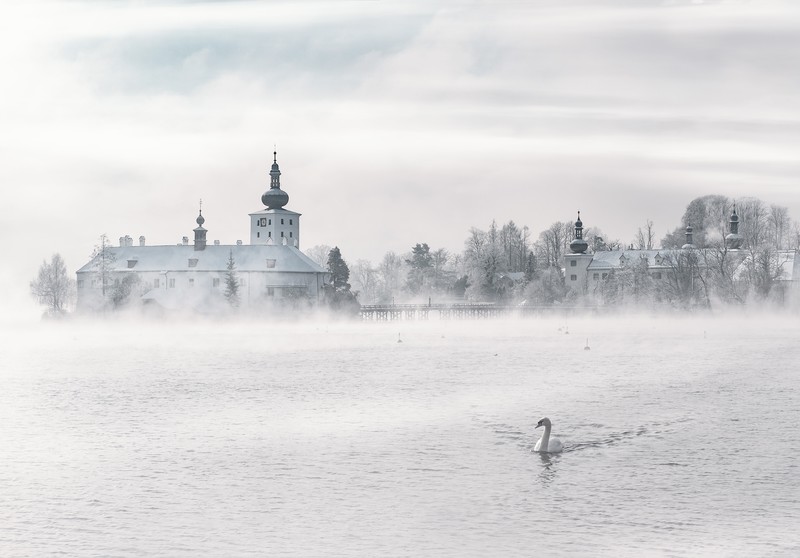 Unsplash, white, goose