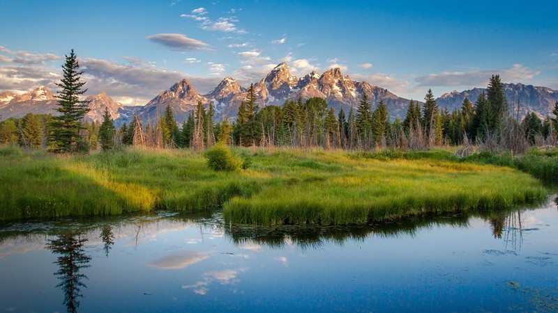 nature, landscape, trees, water, sky, clouds, plants, river, mountains, Grand Teton National Park, Wyoming, USA