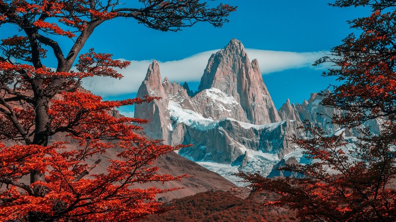 nature, landscape, clouds, sky, trees, forest, fall, snowy mountain, Monte Fitz Roy, Patagonia, Argentina