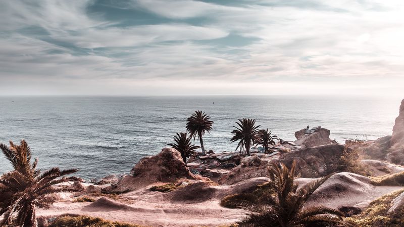 ocean, coast, palm trees, cliff, rocky, horizon, 4k