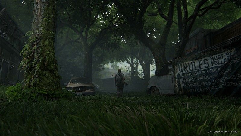 The Last of Us 2, The Last of Us, the last of us part II, PlayStation 4, Naughty Dog, apocalyptic, Ellie, street, video games