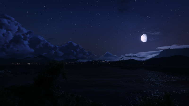 Grand Theft Auto V, nature, landscape, night, moonlight, depth of field