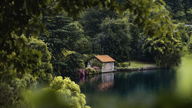 house, lake, trees, comfort, 4k