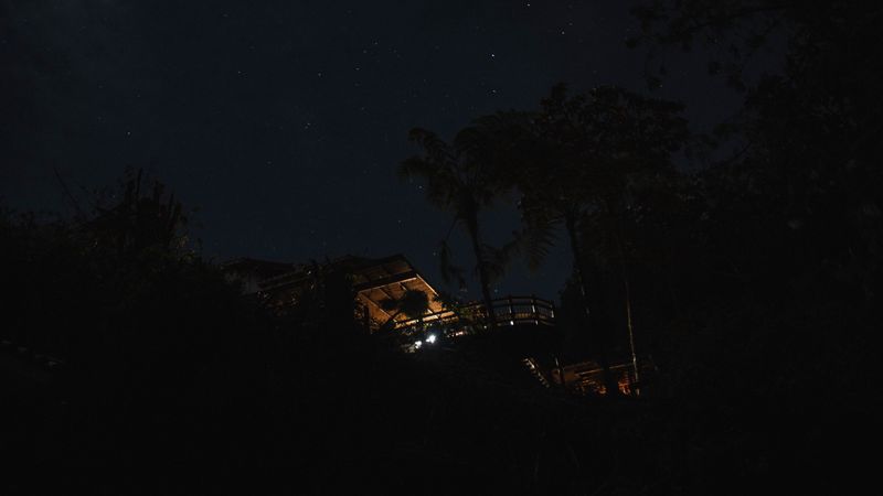 house, starry sky, palm trees, night, 4k