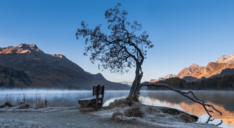 bench, trees, nature, outdoors, landscape, mountains