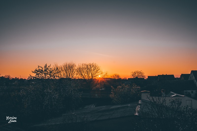 sun rays, sunrise, orange sky, spring, Serbia, nature, landscape, trees, morning