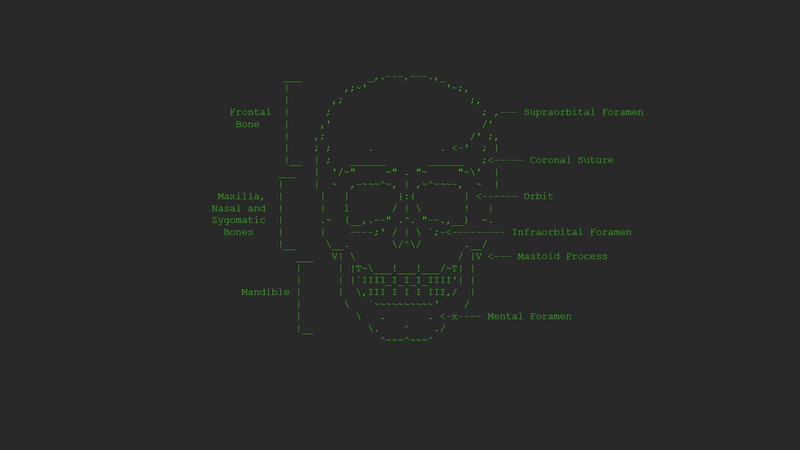 ASCII art, skull, minimalism