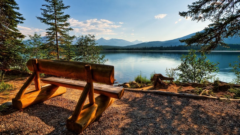 lake, landscape, park, bench, Jasper National Park, Canada, Alberta