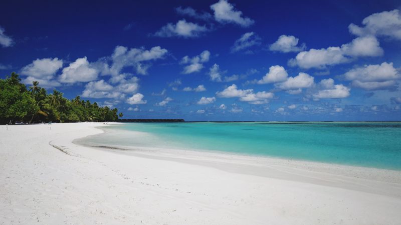 beach, sand, palm, island, tropical, maldives, 4k